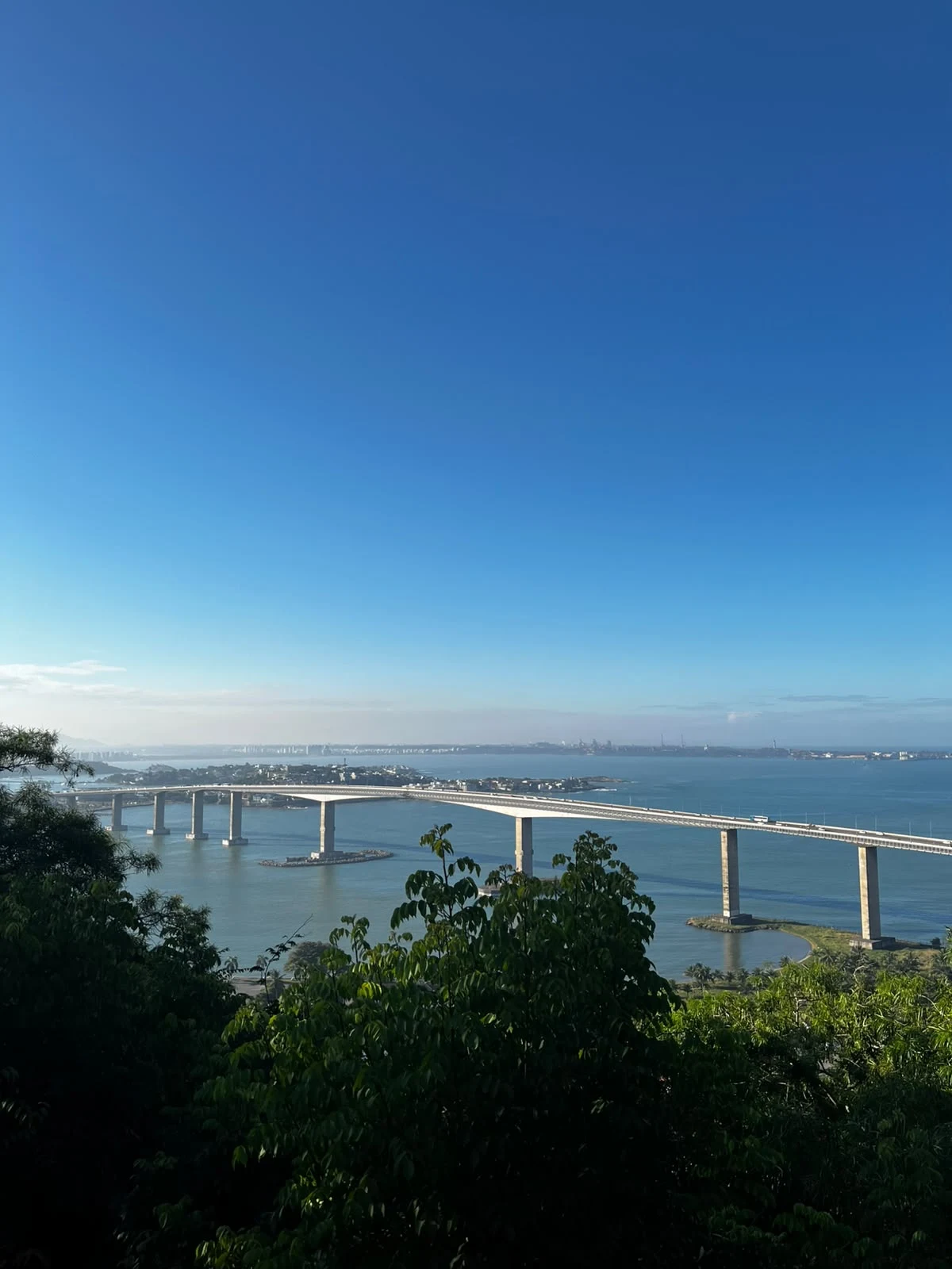 A Terceira Ponte sobre a baía, vista de um mirante cercado de vegetação